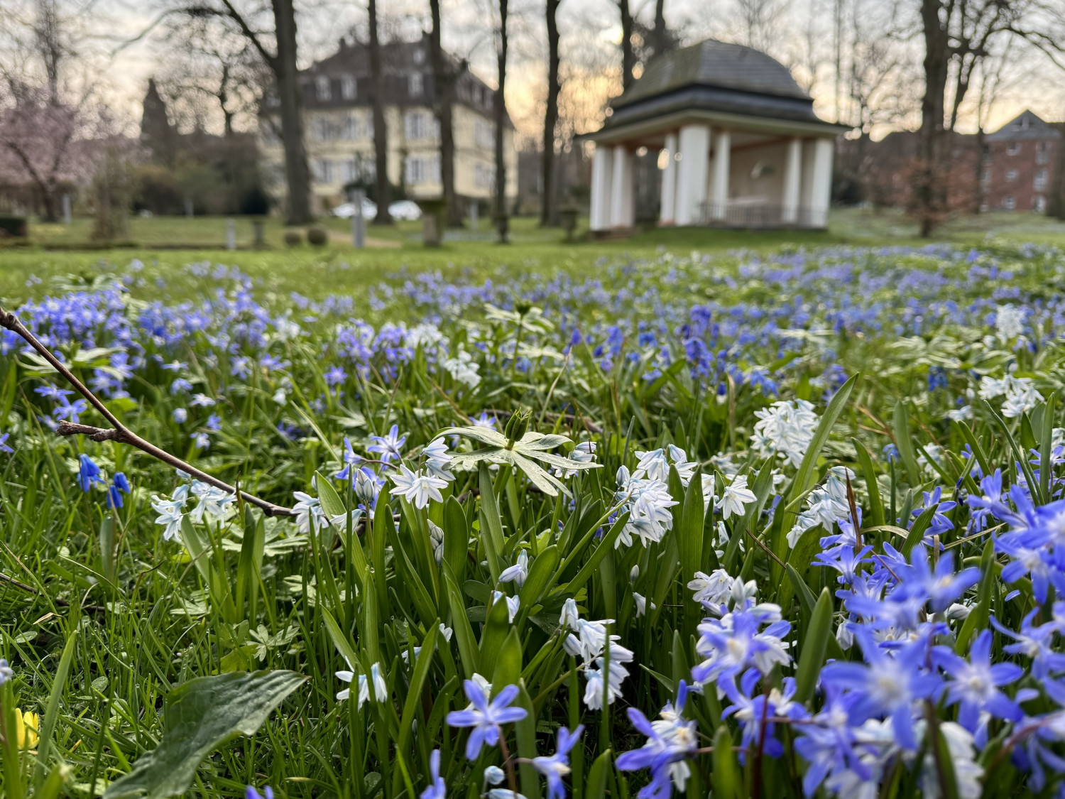 Der Bad Nenndorfer Sonnengarten ist schon jetzt ein Ort zum Verweilen. 