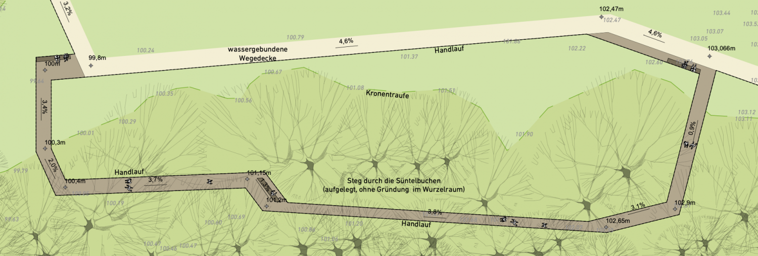 Durch einen Steg soll die Süntelbuchenallee im Bad Nenndorfer Kurpark erlebbar bleiben.