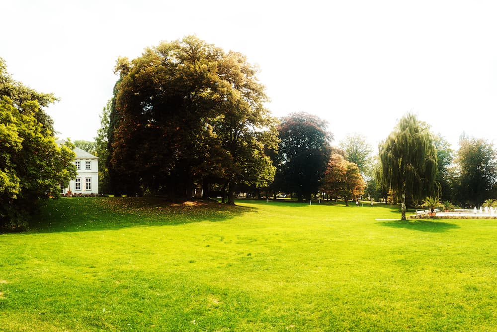 Schloesschen Wiese