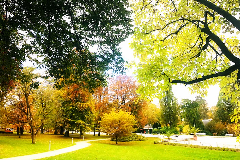 Wege Kurpark