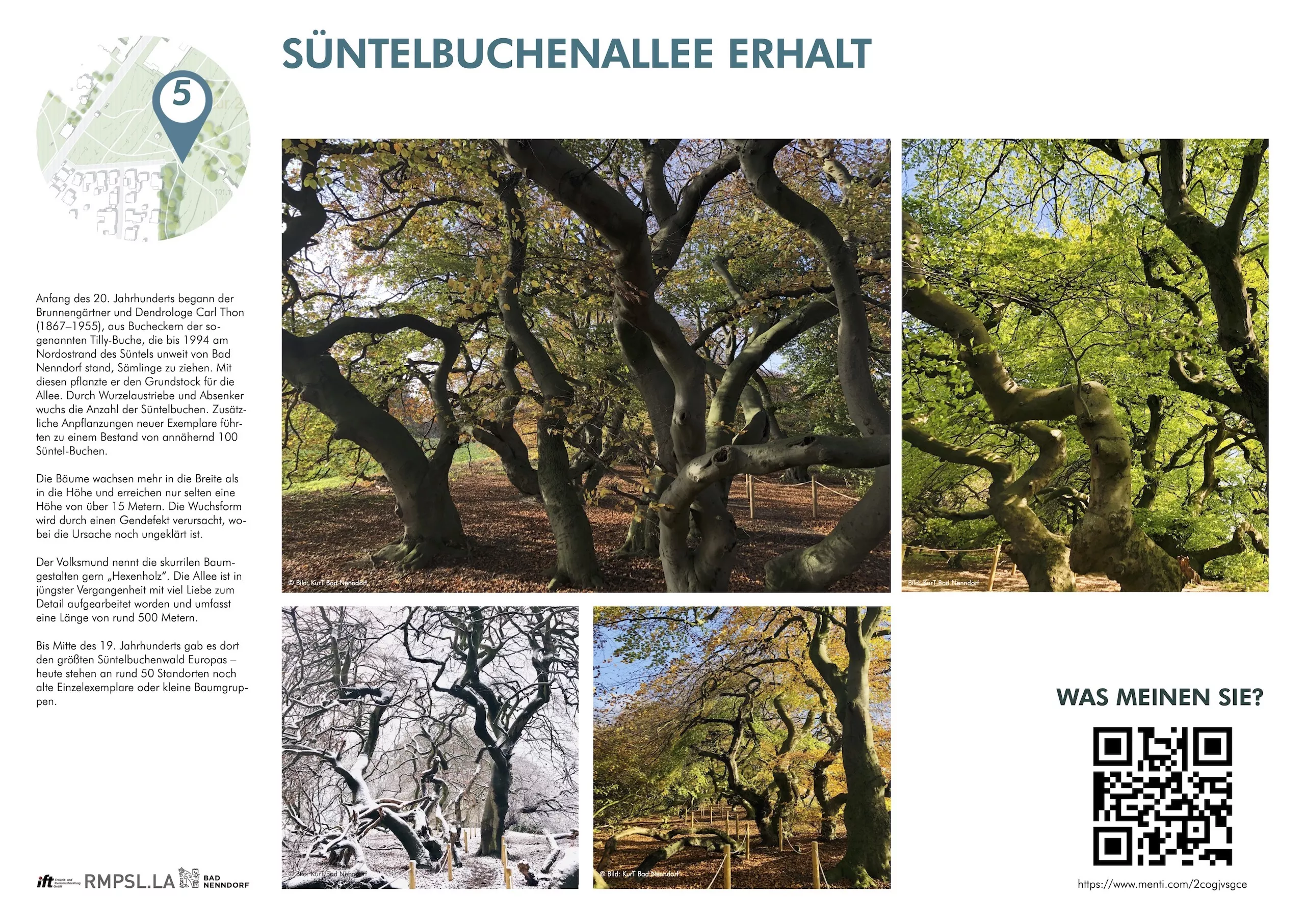 Suentelbuchen Erhalt Und Information
