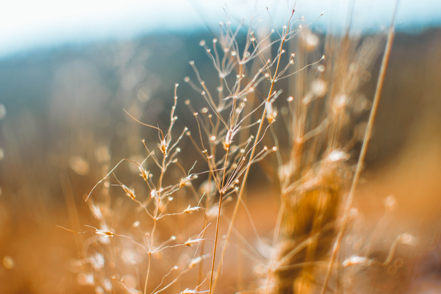 Header 3
